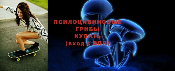 мескалин Бородино