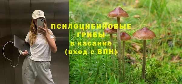 первитин Бугульма