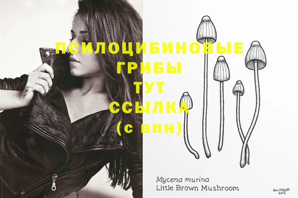 jwh Бронницы
